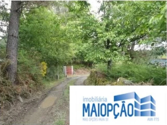 Terreno para Venda em Avelal Foto 1