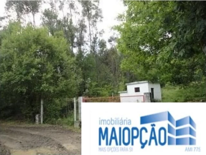 Terreno para Venda em Avelal Foto 2