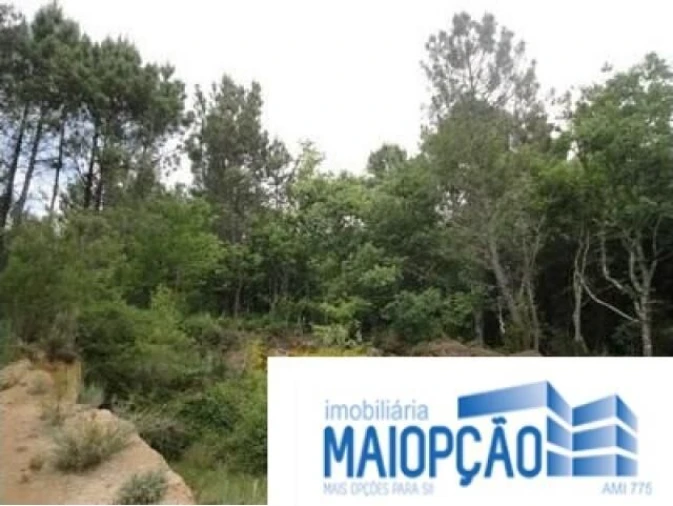 Terreno para Venda em Avelal Foto 4