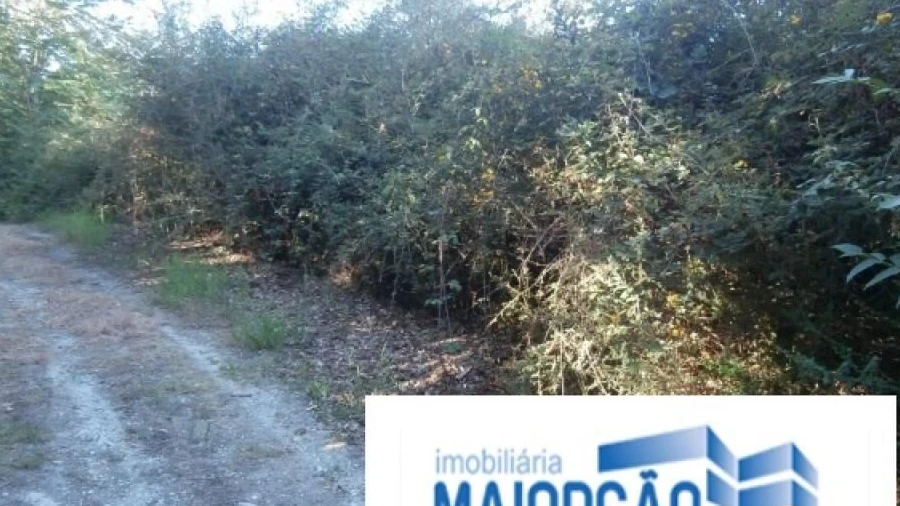 Terreno para Venda em Travassos