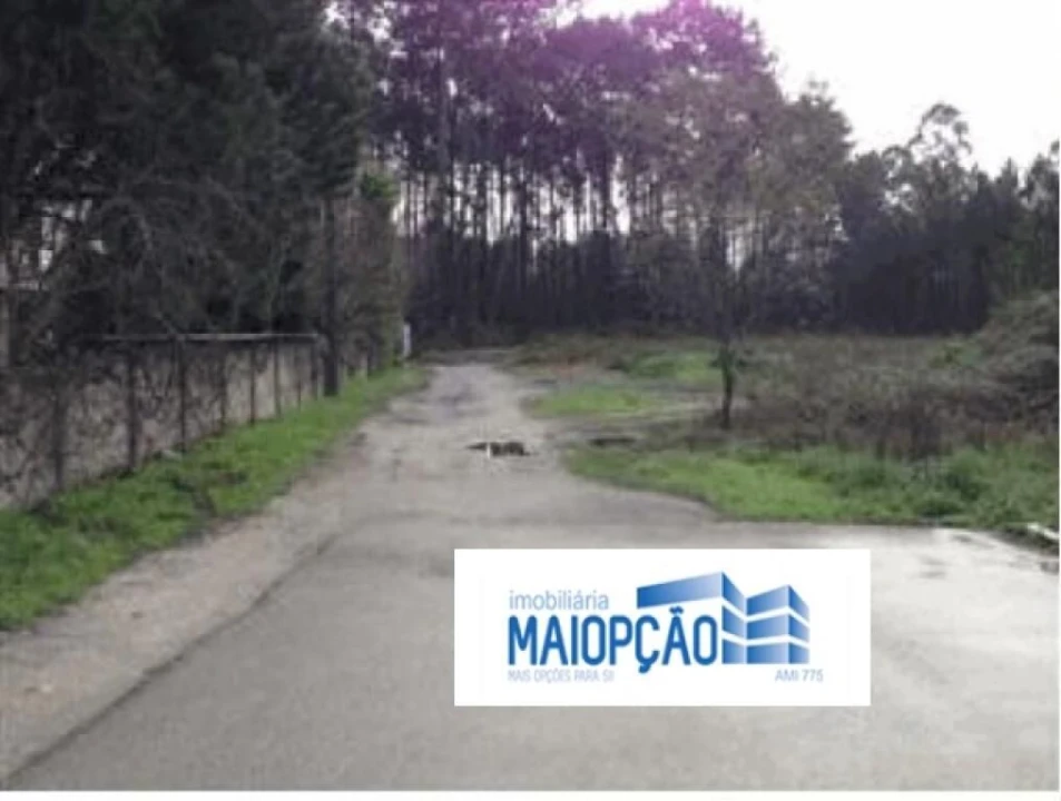 Terreno para Venda em Marinha Grande Foto 1