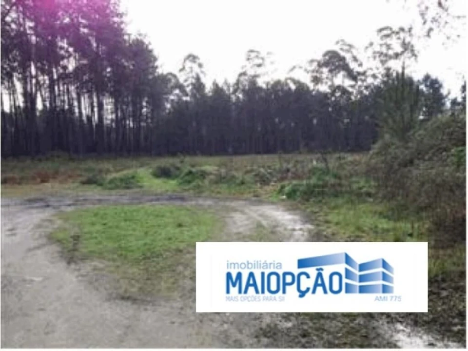 Terreno para Venda em Marinha Grande Foto 2