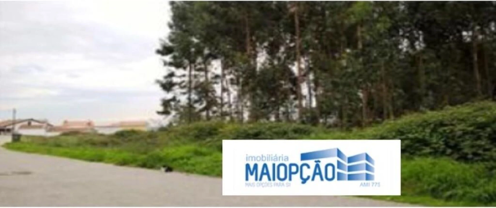 Terreno para Venda em Angeja Foto 4