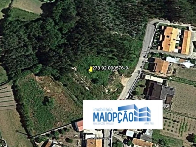 Terreno para Venda em Angeja Foto 3