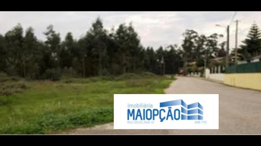 Terreno para Venda em Angeja