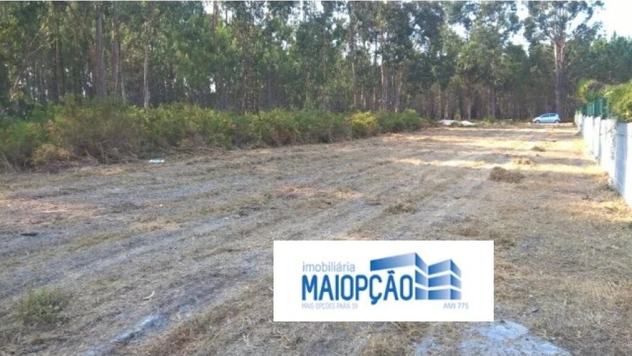 Terreno para Venda em Marinha Grande Foto 4