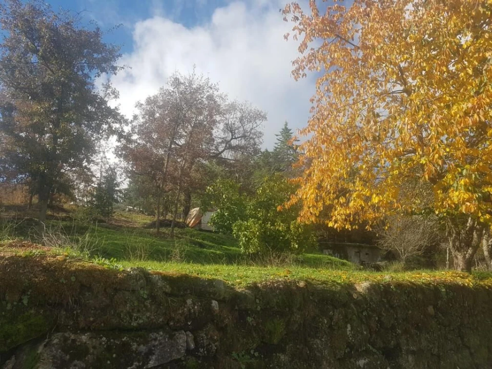 Quinta T0 para Venda em Guarda Foto 8