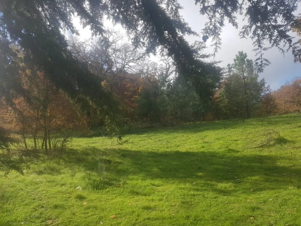 Quinta T0 para Venda em Guarda Foto 10