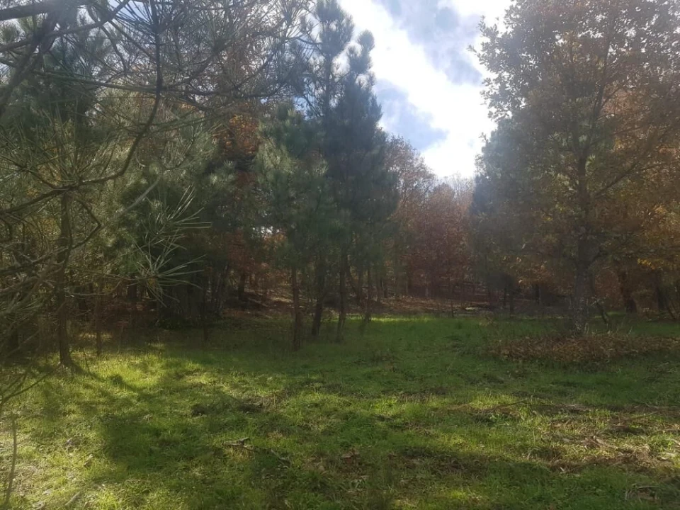 Quinta T0 para Venda em Guarda Foto 15