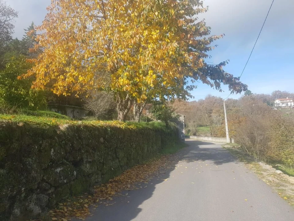 Quinta T0 para Venda em Guarda Foto 22