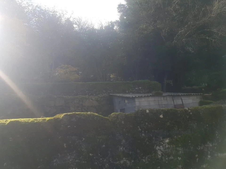 Quinta T0 para Venda em Guarda Foto 23