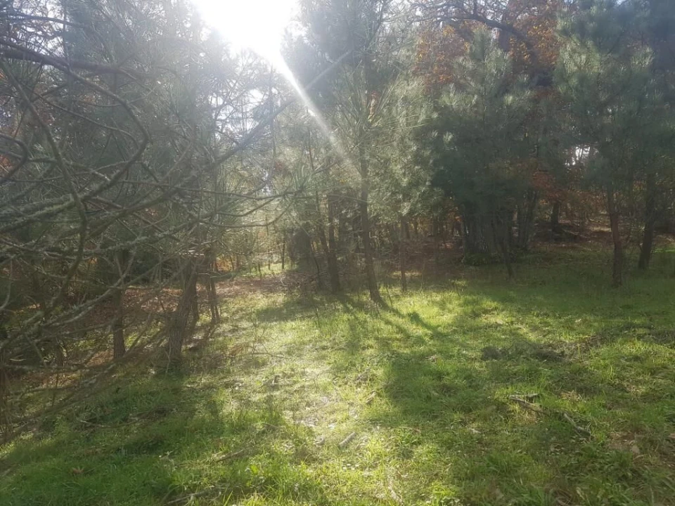 Quinta T0 para Venda em Guarda Foto 1