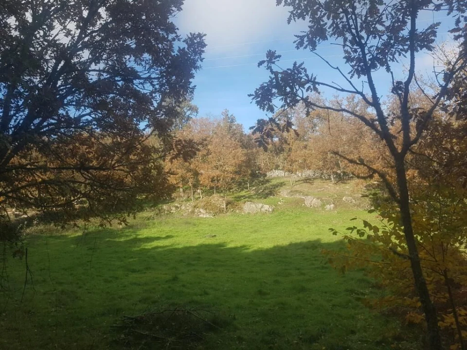 Quinta T0 para Venda em Guarda Foto 4