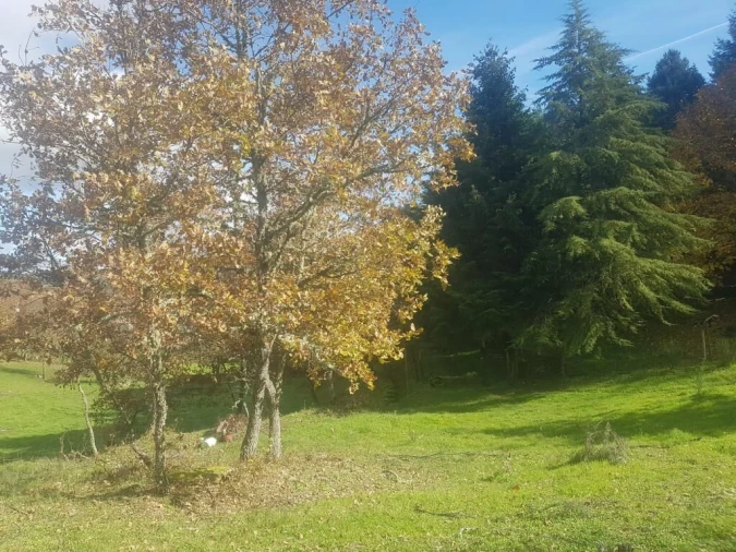 Quinta T0 para Venda em Guarda Foto 7