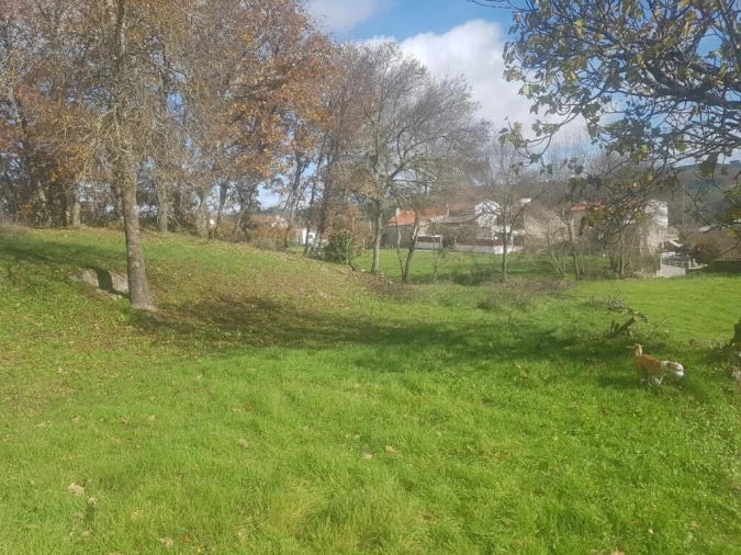 Quinta T0 para Venda em Guarda Foto 9