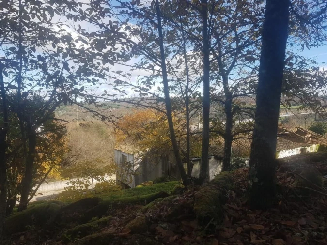 Quinta T0 para Venda em Guarda Foto 12