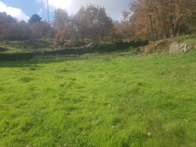 Quinta T0 para Venda em Guarda Foto 17