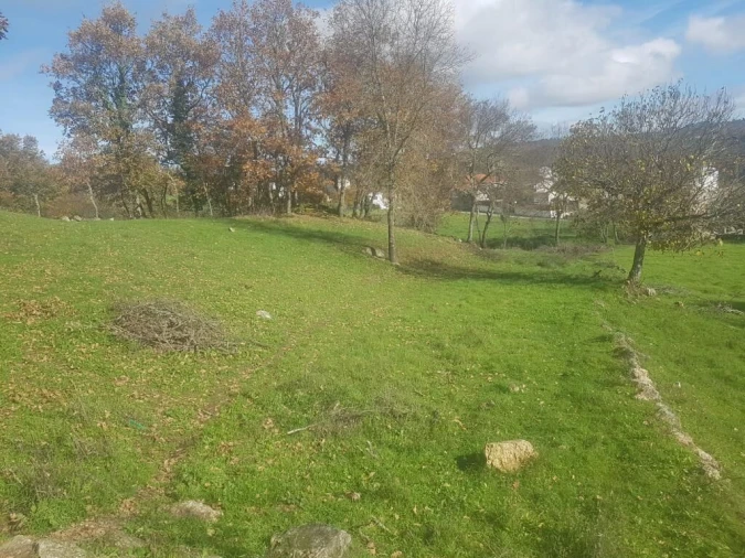 Quinta T0 para Venda em Guarda Foto 19