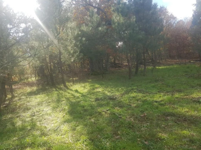 Quinta T0 para Venda em Guarda Foto 20