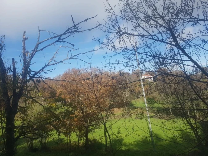 Quinta T0 para Venda em Guarda Foto 21