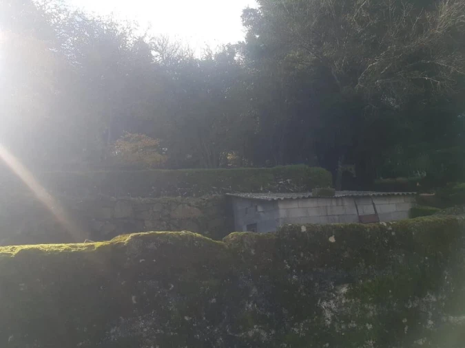 Quinta T0 para Venda em Guarda Foto 23