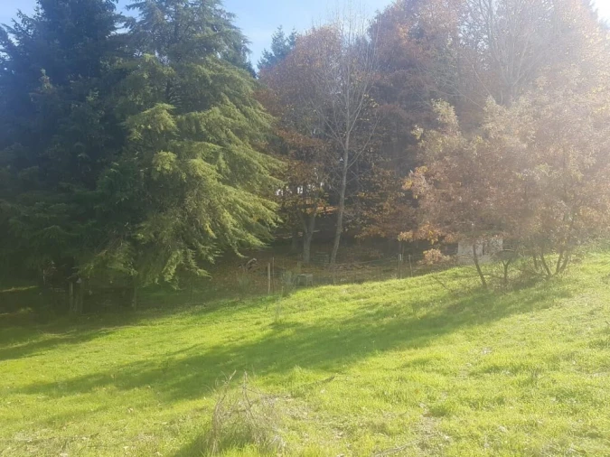 Quinta T0 para Venda em Guarda Foto 24