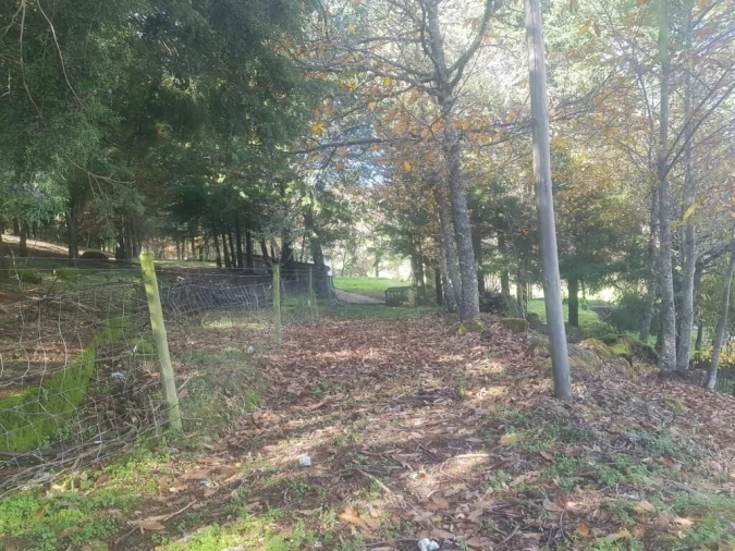 Quinta T0 para Venda em Guarda Foto 25