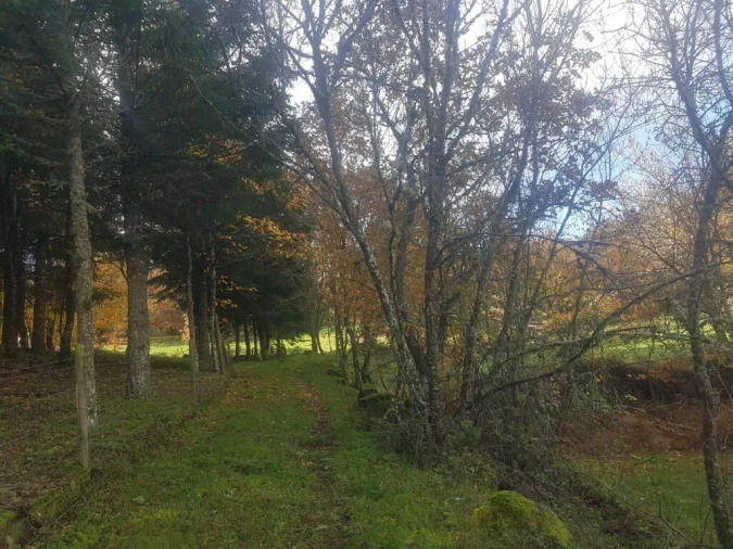 Quinta T0 para Venda em Guarda Foto 3