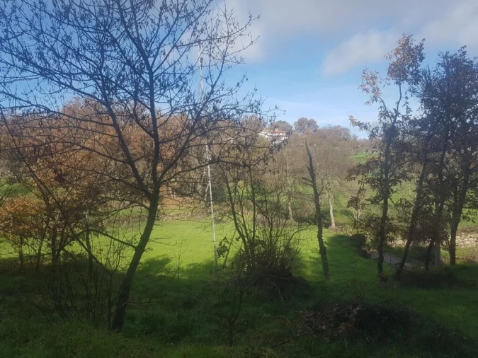 Quinta T0 para Venda em Guarda Foto 5