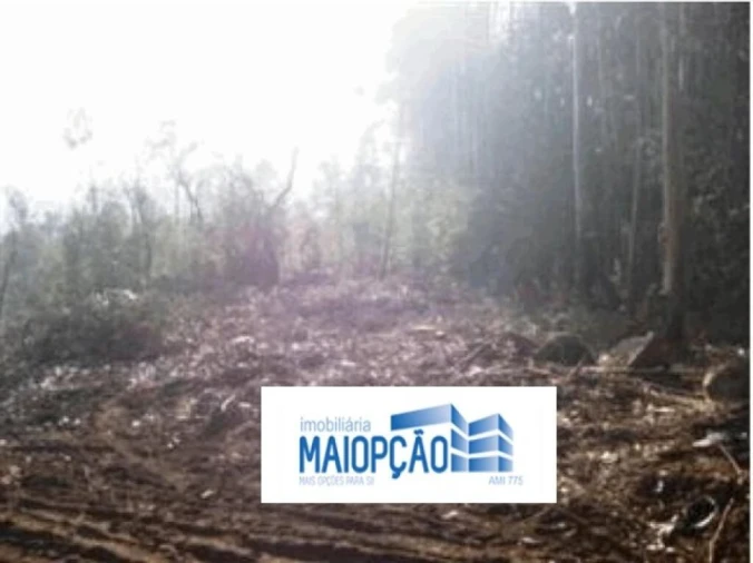 Terreno para Venda em Monte Córdova Foto 3