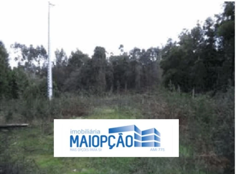 Terreno para Venda em Mozelos Foto 2