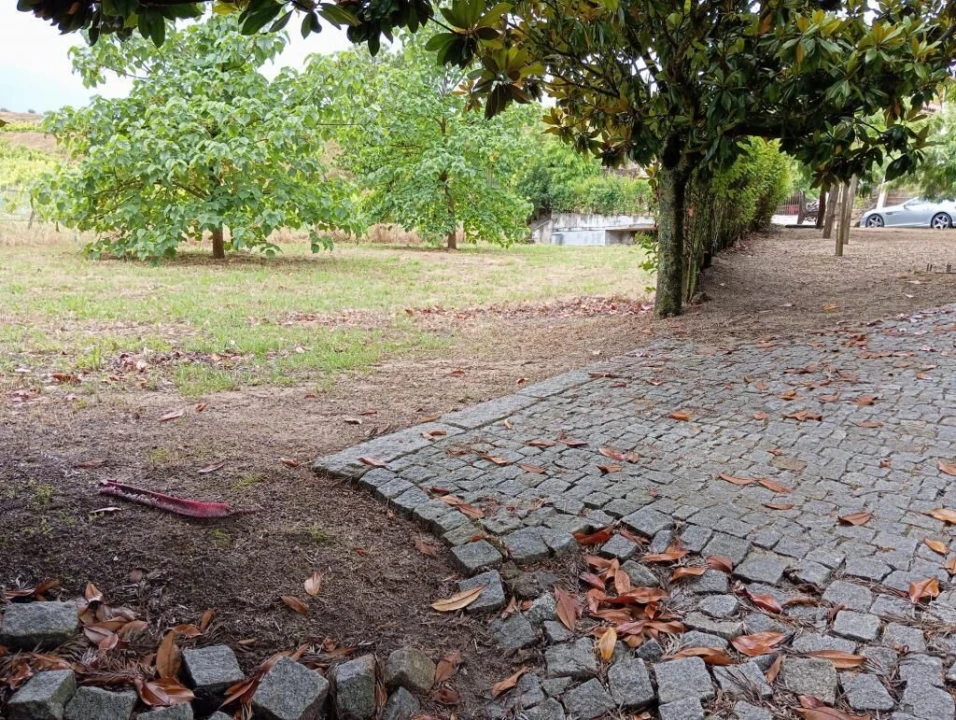 Quinta T0 para Venda em Gondar Foto 12