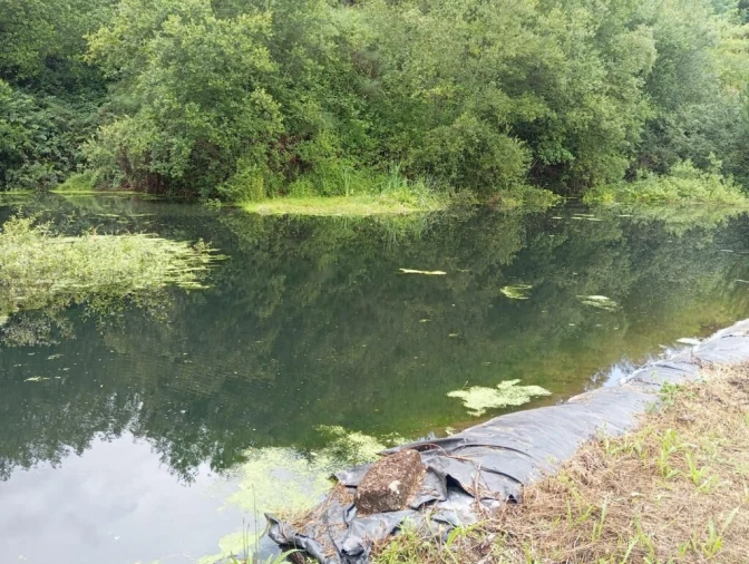 Quinta T0 para Venda em Gondar Foto 13