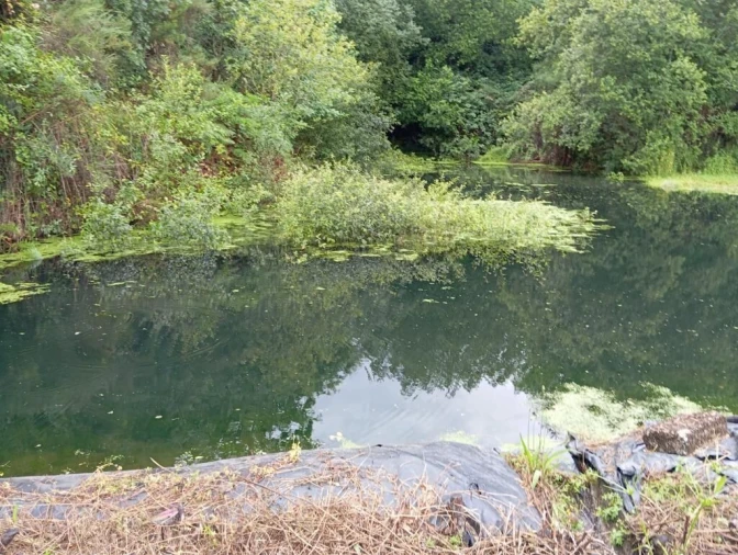 Quinta T0 para Venda em Gondar Foto 17