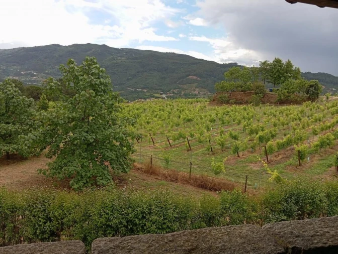 Quinta T0 para Venda em Gondar Foto 26