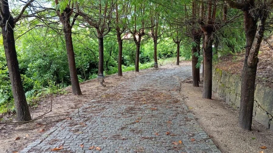 Quinta T0 para Venda em Gondar
