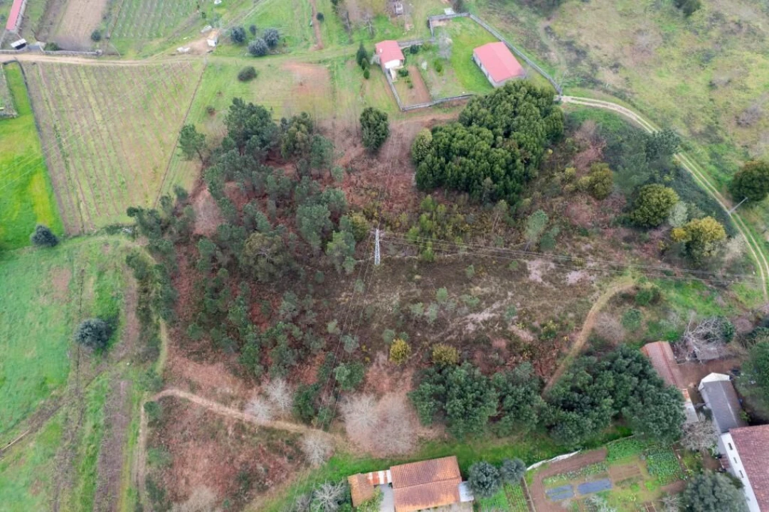 Terreno para Venda em Arca e Ponte de Lima Foto 3