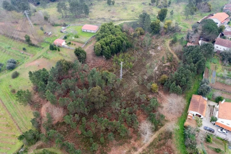 Terreno para Venda em Arca e Ponte de Lima Foto 7