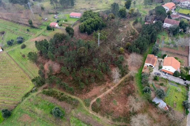 Terreno para Venda em Arca e Ponte de Lima Foto 8