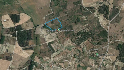 Terreno para Venda em Ratoeira