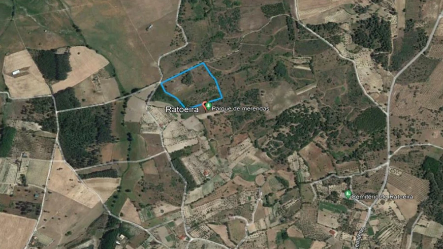 Terreno para Venda em Ratoeira