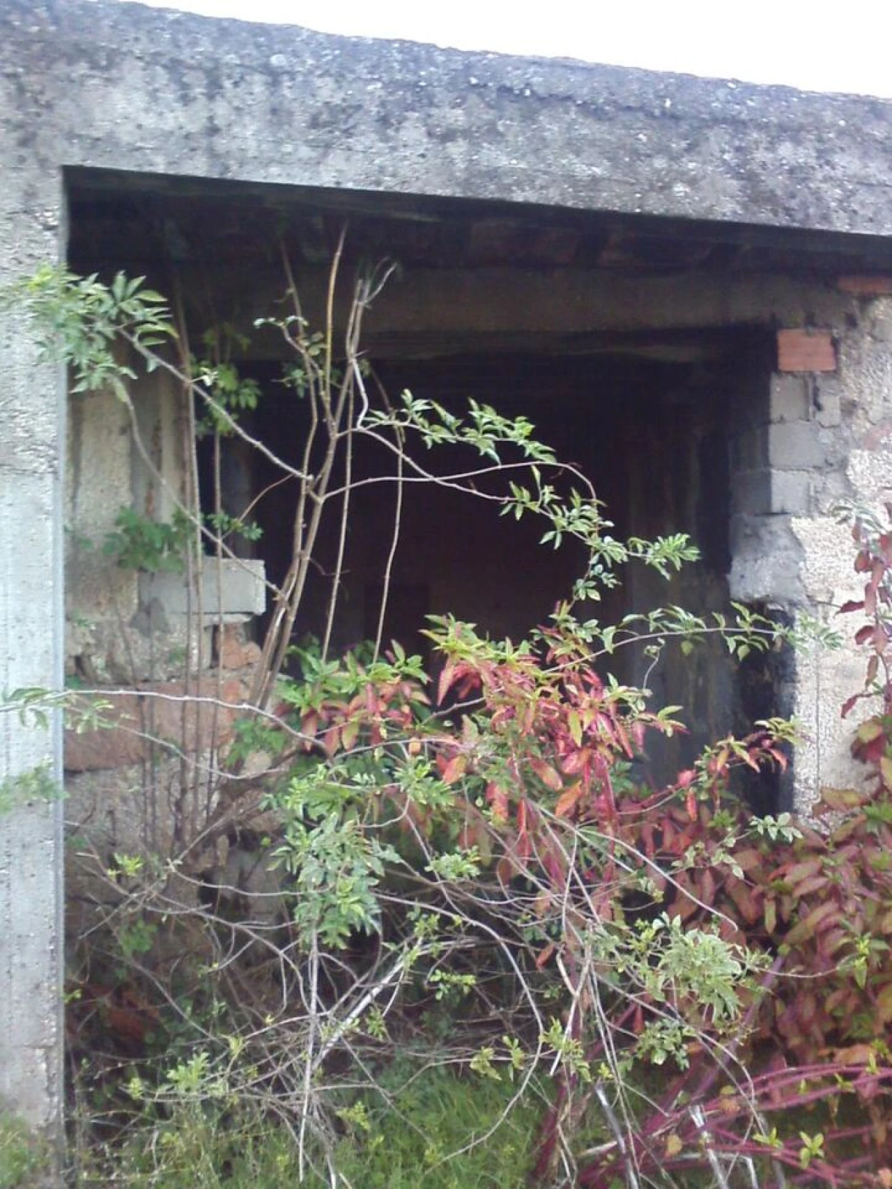 Quinta T0 para Venda em Boidobra Foto 11