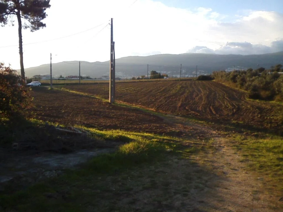 Quinta T0 para Venda em Boidobra Foto 8