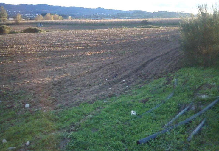Quinta T0 para Venda em Boidobra Foto 4