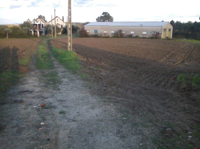 Quinta T0 para Venda em Boidobra Foto 7