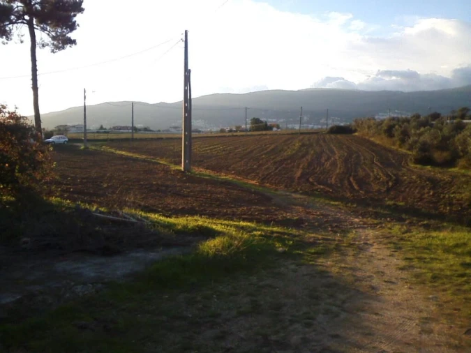 Quinta T0 para Venda em Boidobra Foto 8