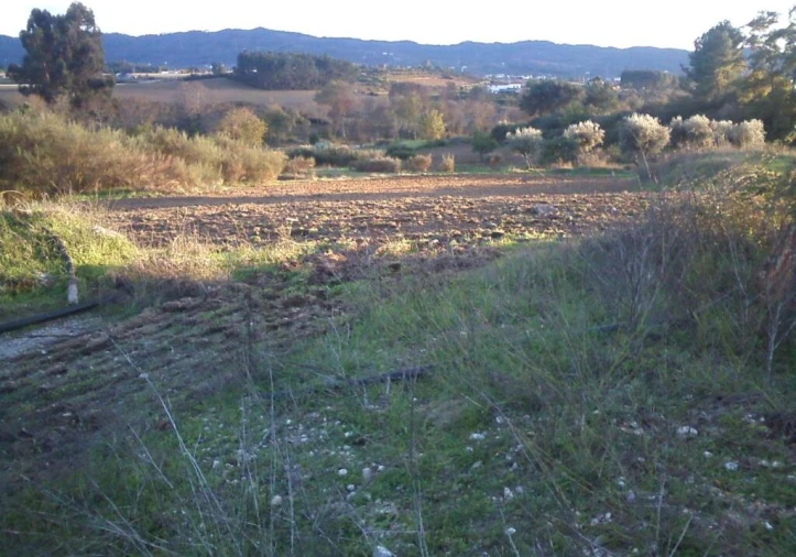 Quinta T0 para Venda em Boidobra Foto 9