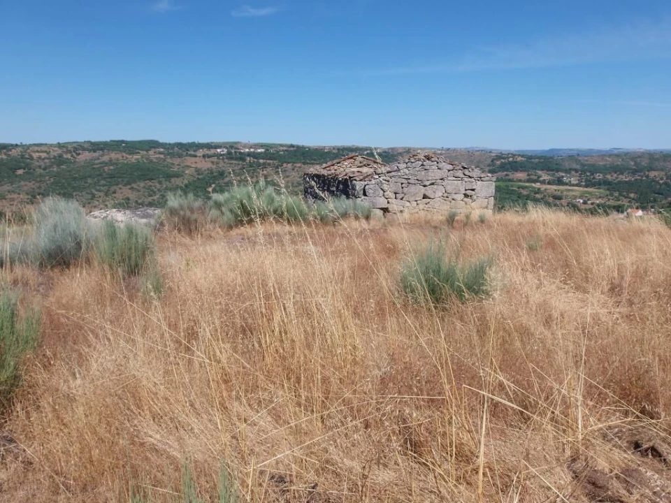 Quinta T0 para Venda em Codesseiro Foto 12