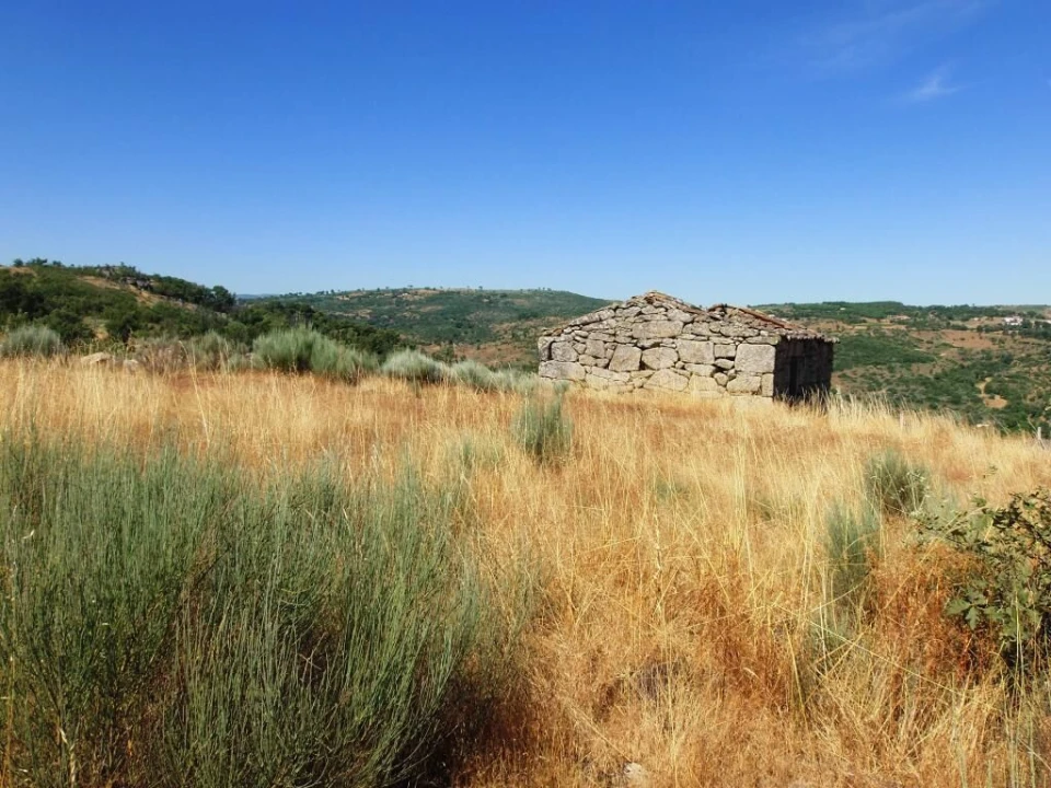 Quinta T0 para Venda em Codesseiro Foto 13