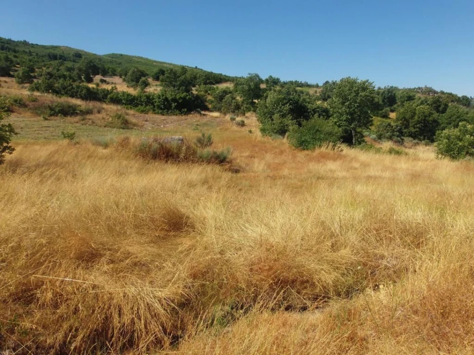 Quinta T0 para Venda em Codesseiro Foto 19
